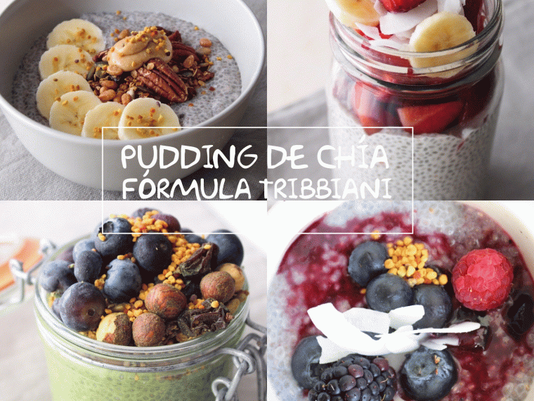 PUDDING DE CHÍA FÓRMULA TRIBBIANI